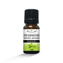 100% puhas, looduslik piparmündi Mentha Arvensis eeterlik õli