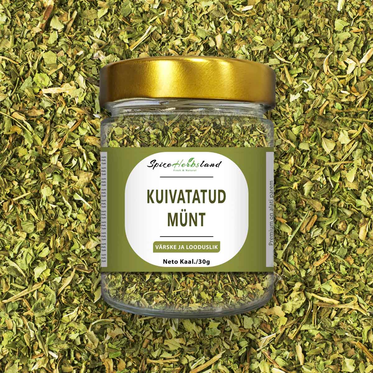 Kuivatatud piparmünt