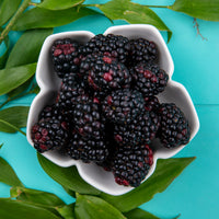 Põldmarja seemne õli